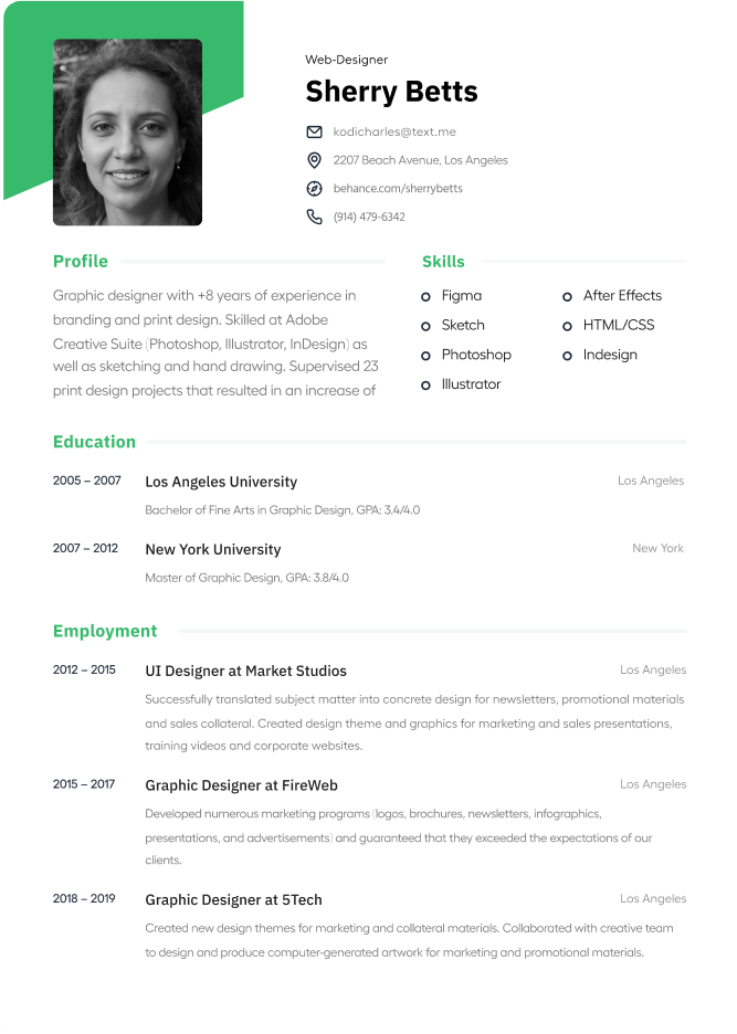 Modèle de CV - Professionnel