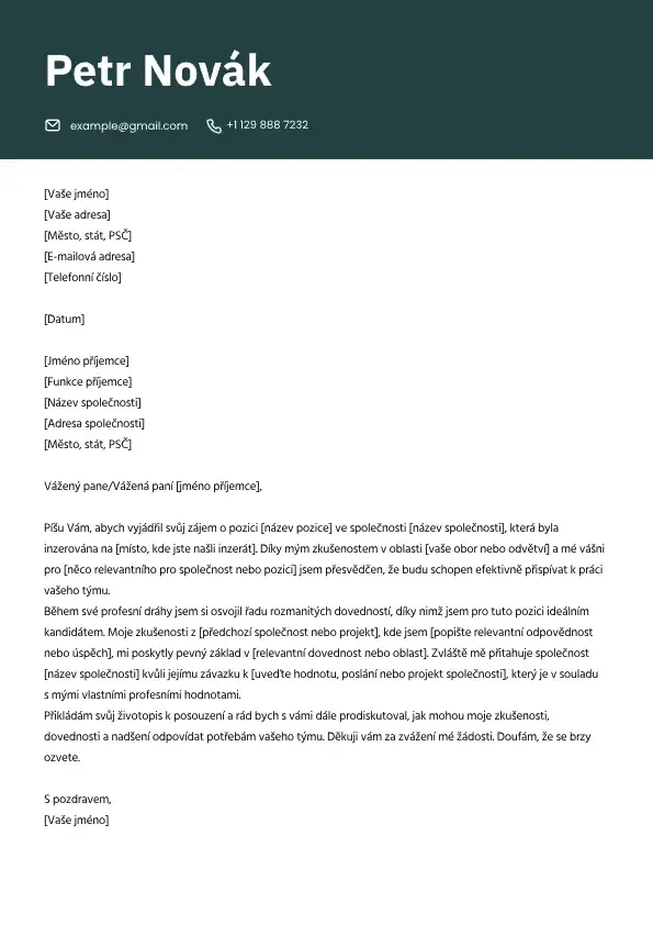 Profesionální šablona motivačního dopisu pro žádost o zaměstnání