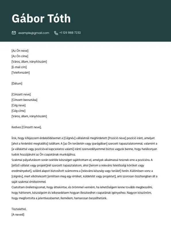 Professzionális motivációs levél sablon álláspályázathoz