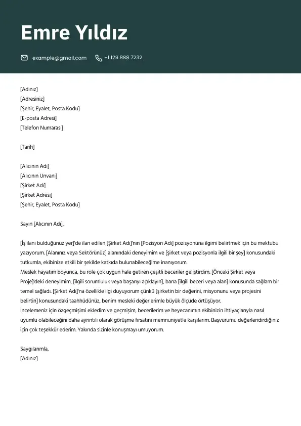 İş başvuruları için profesyonel ön yazı şablonu