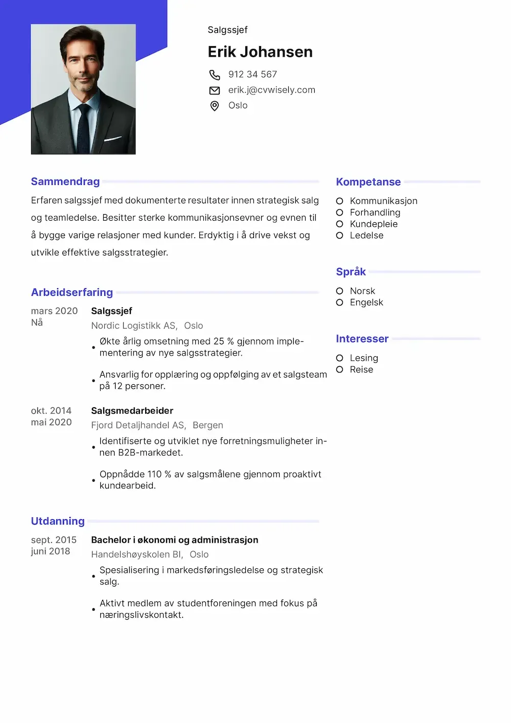 Profesjonell CV-mal