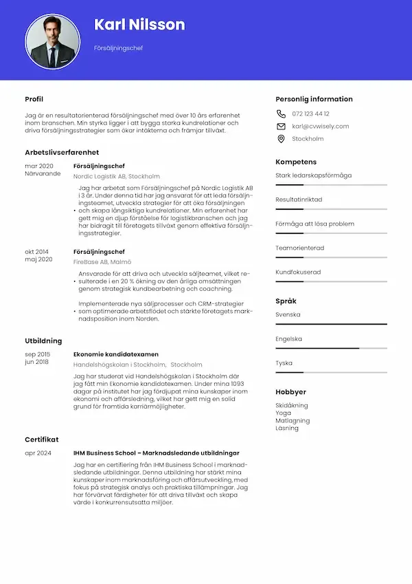 Enkel CV-mall
