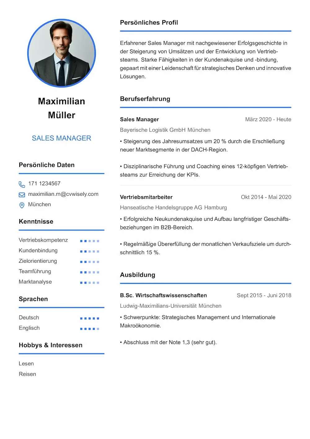 Professionelle Lebenslauf-vorlage