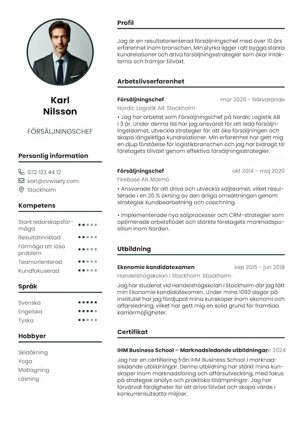 Modern minimalistisk CV-mall