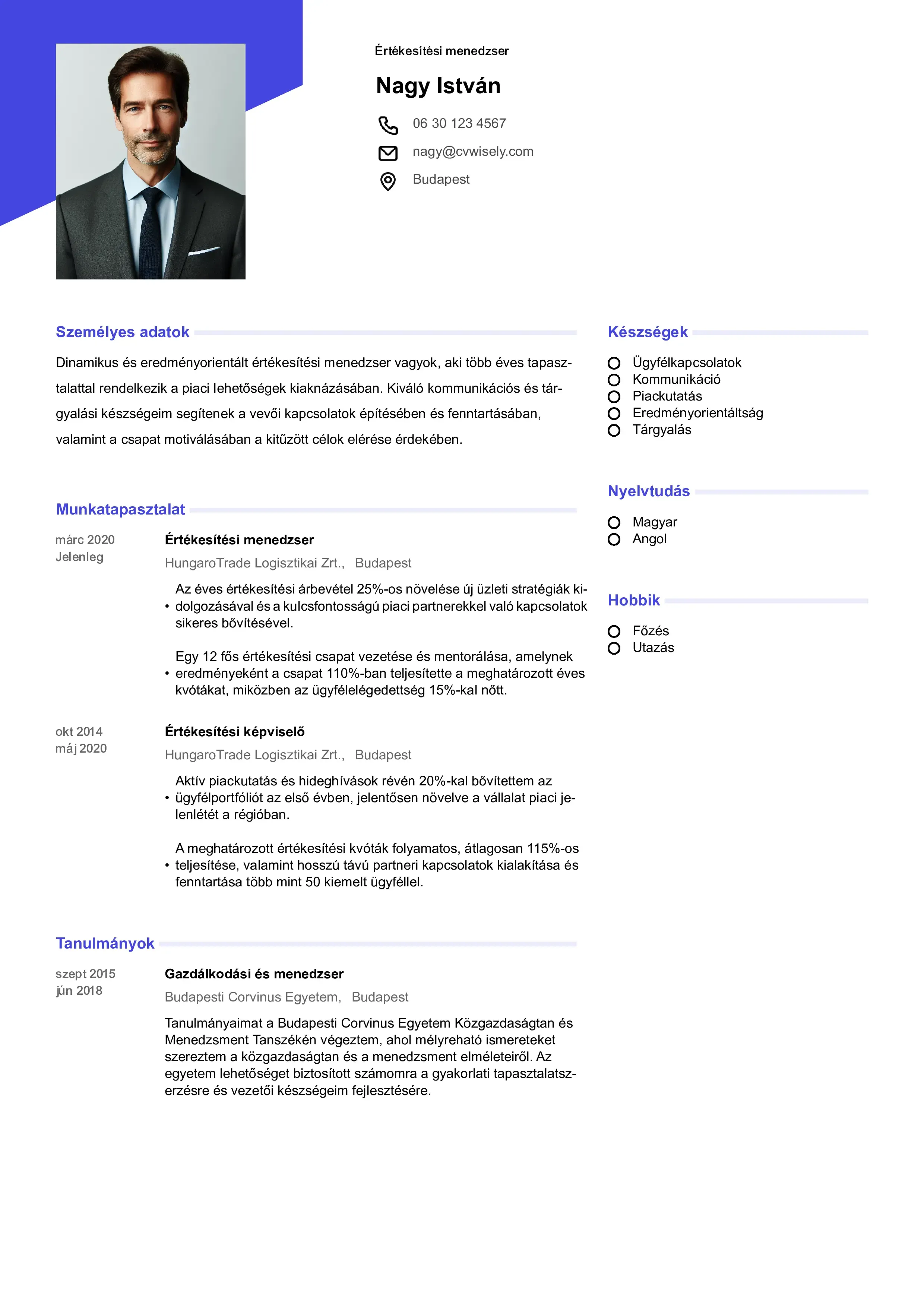 Professzionális önéletrajz sablon