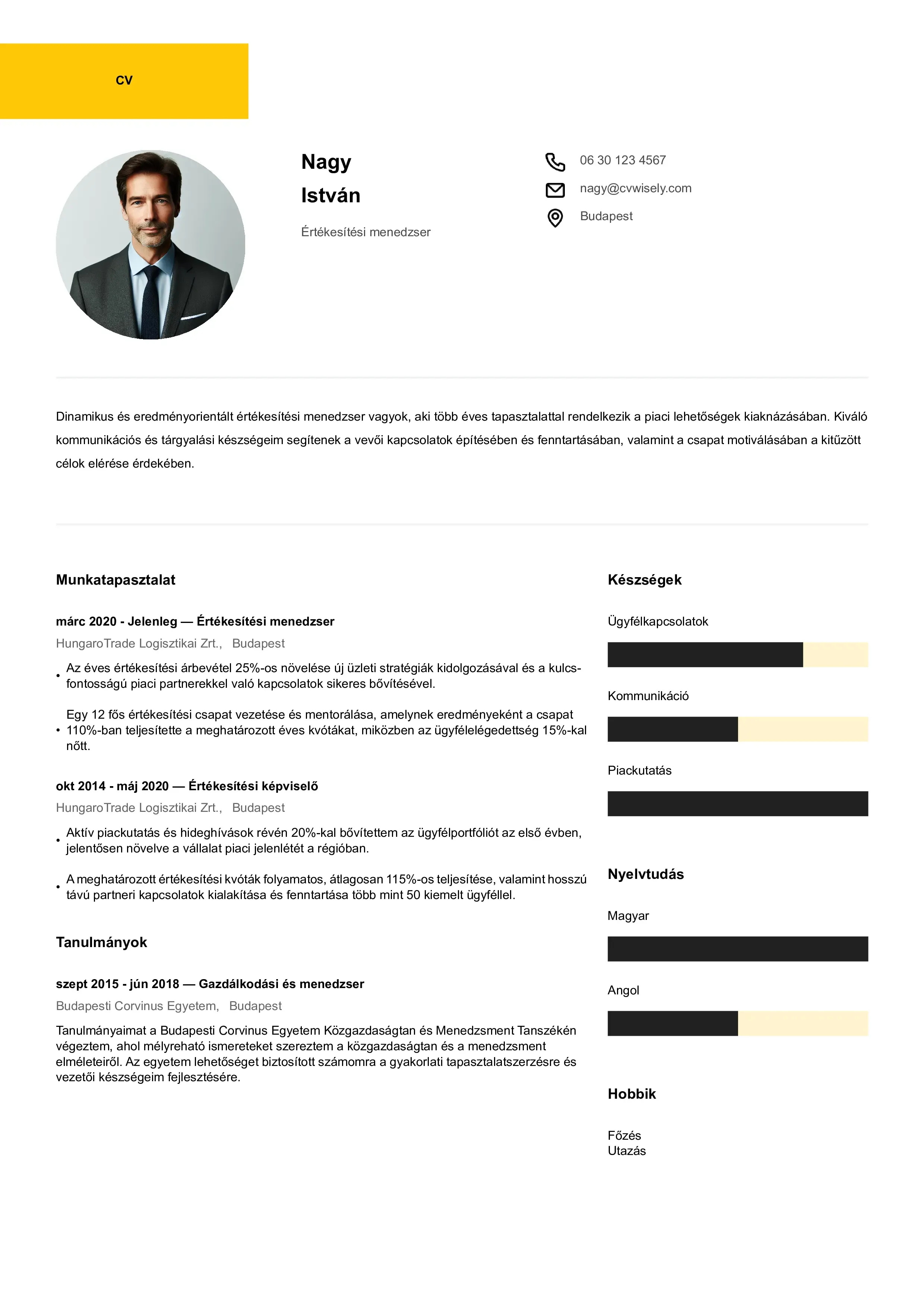 Kreatív önéletrajz sablon