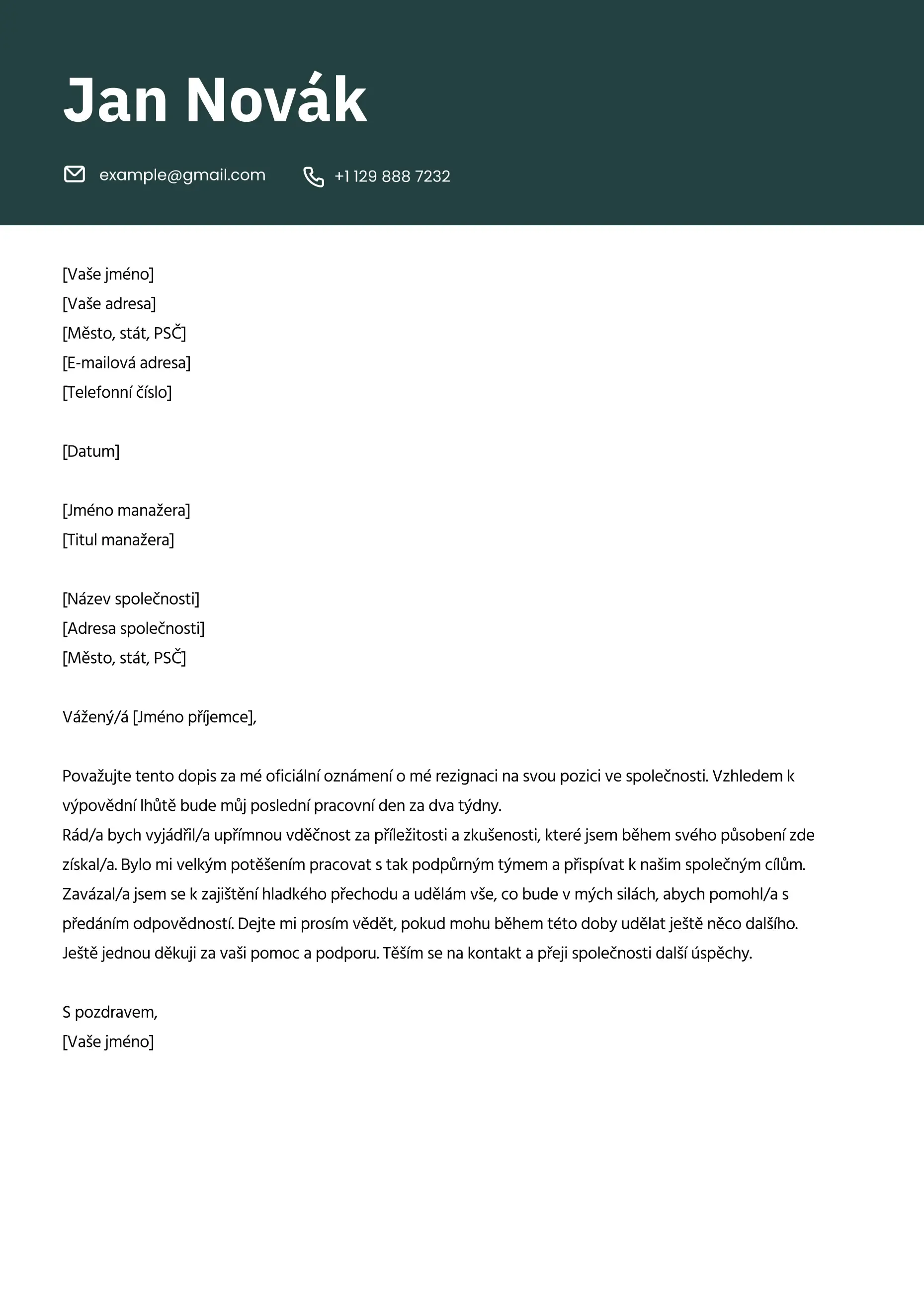 Vzor profesionální výpovědi z pracovního poměru