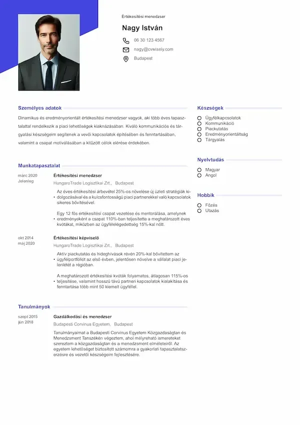 Professzionális önéletrajz sablon