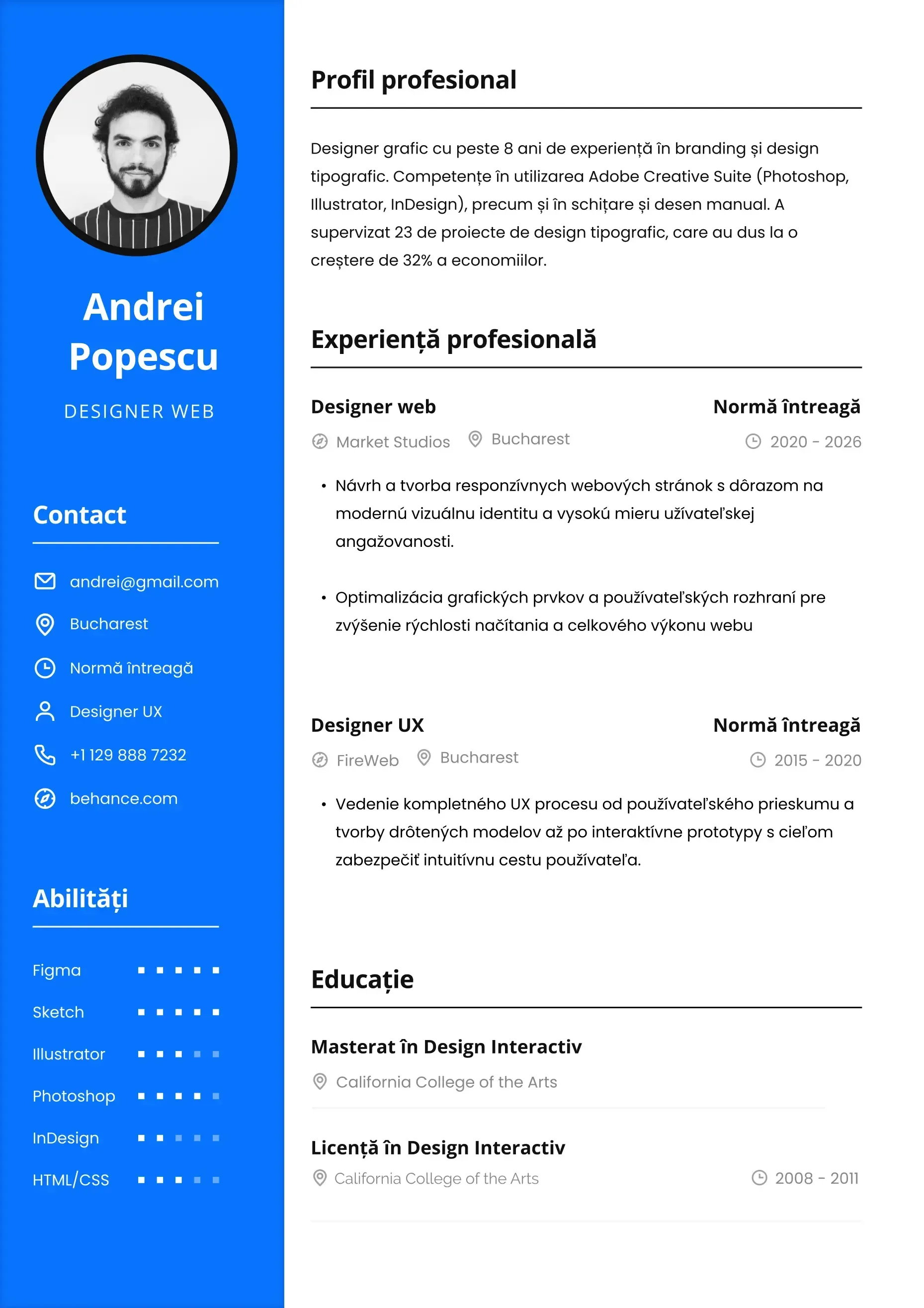 Șablon CV profesional